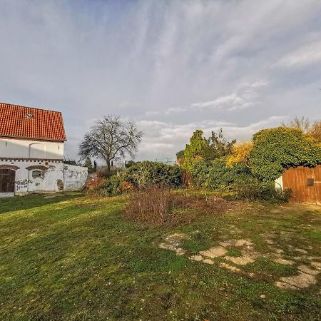 Apartment In Herrenhaus Gross Pinnow Eksteriør bilde